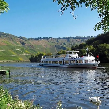 Familienfreundliche Weingarten In