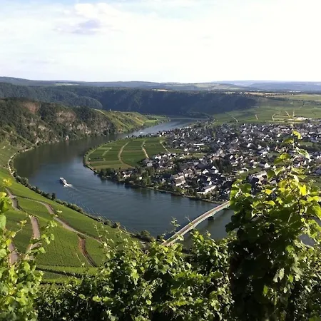 Apartment Familienfreundliche Weingarten In Piesport